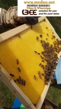 Satna osnova od provjerenog čistog voska