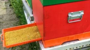 Podnica PVC CRVENA sa sakupljačem peludi,češljem i poletaljkom za LR i DB10 / PVC bee flooring with pollen collection