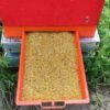Podnica PVC CRVENA sa sakupljačem peludi,češljem i poletaljkom za LR i DB10 / PVC bee flooring with pollen collection