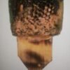 AVROMAM / Pheromone of bee queen - swarm lure , patented and with warranty