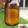 Boca za čuvanje pčelinjeg otrova sa vakumskim čepom od 100 ml