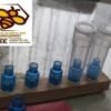 Startzellen für die Bienenkönigin produktion