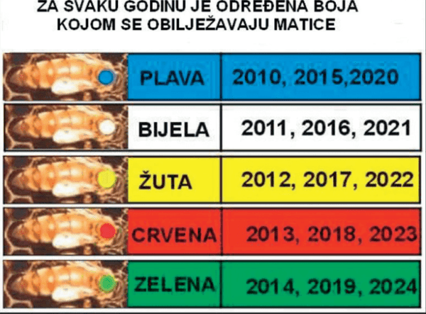 Matica Boja Boja za označavanje matica (pčela)-crvena (2023) - Medno