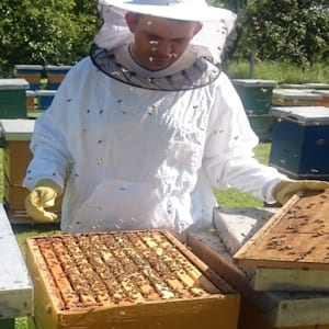 68 Kupac pčelarske opreme iz Splita