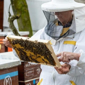 69 Kupac pčelarske opreme iz Varaždina